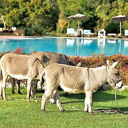 Orlando Sardegna 4* Lanusei